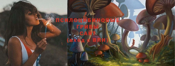 амф Михайлов